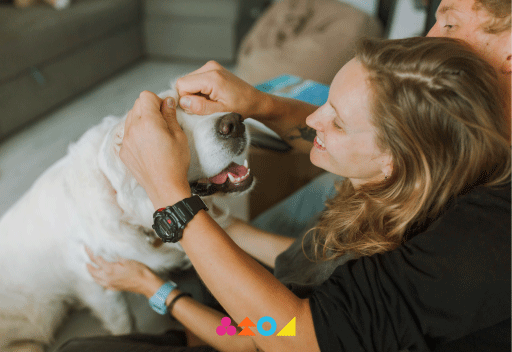 Pareja disfrutando con su perro en un departamento en venta en Villa Alemana
